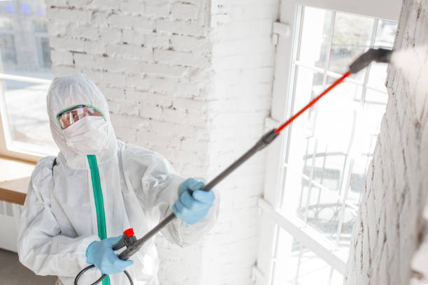 Professional Mold Removal in Roanoke, TX