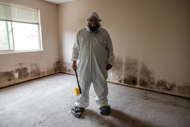 Mold Documentation for Insurance Claims in Roanoke, TX